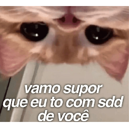 Gestos de amor ❤️🥰 9