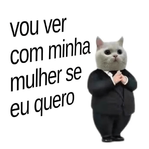 PAU-MANDADO DE MULHER 🫪🤡 1