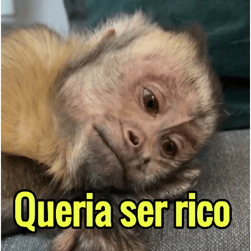 MACAQUINHOS COM TEXTO ❤️🐒