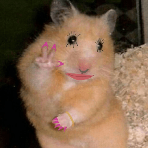 Hamster maquiando 🐹 7