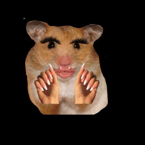 Hamster maquiando 🐹 5