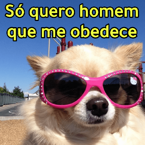 Frases q só as mulheres falam🔥