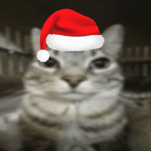 Animais no natal 🎅❤️