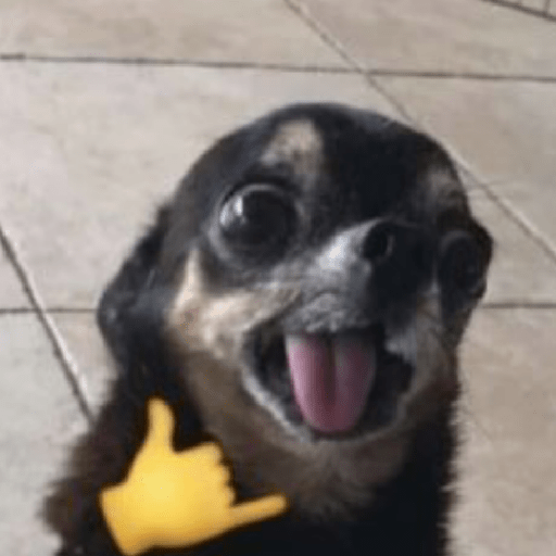 CACHORRINHOS DEBOCHADOS 🐕