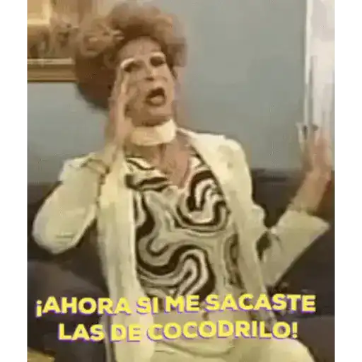 MásPerra 10