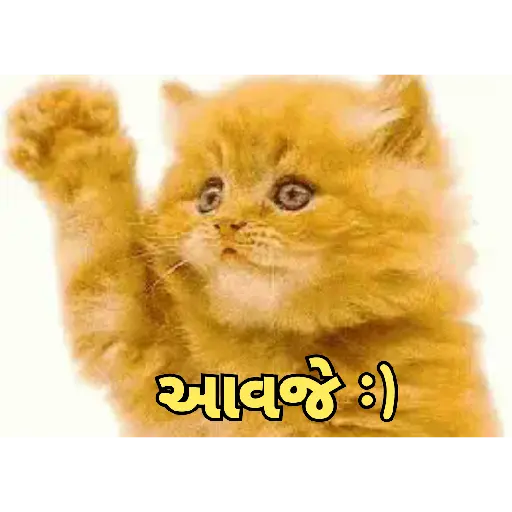 Good night cat 19