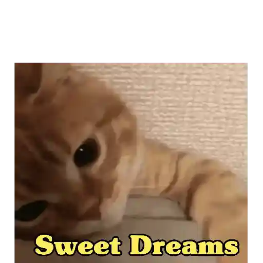 Good night cat 10