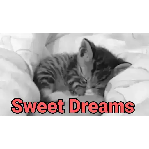 Good night cat 2