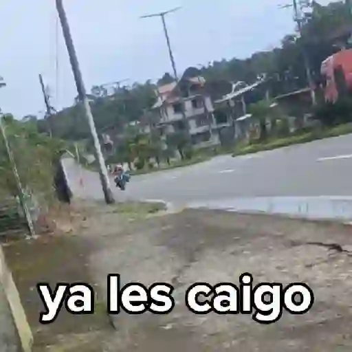 Pene 4