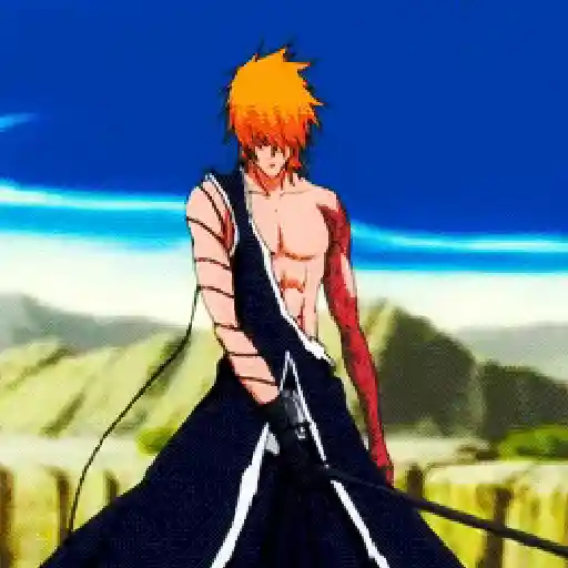 Gifs Bleach Masc.  29