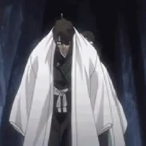 Gifs Bleach Masc.  26