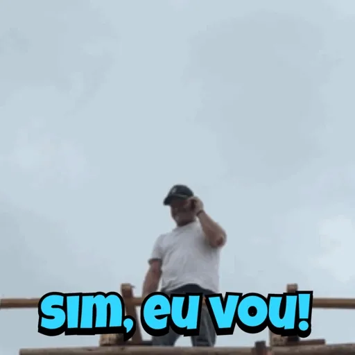 Minhas figurinhas 4
