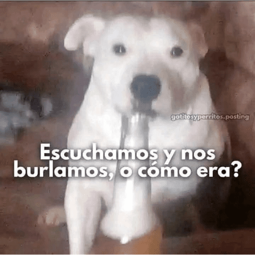Sr Migajero :3 11