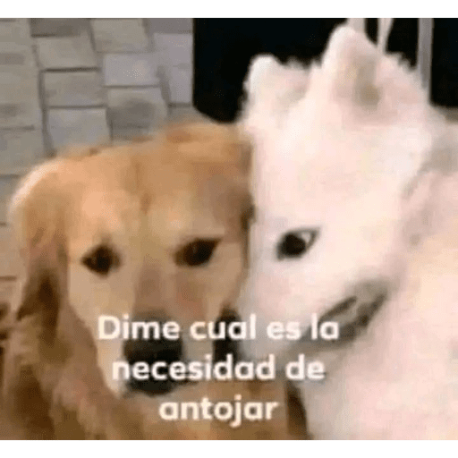 Sr Migajero :3 13
