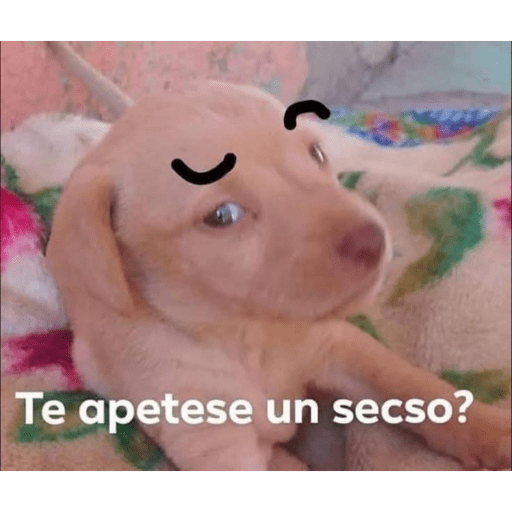 Sr Migajero :3 12