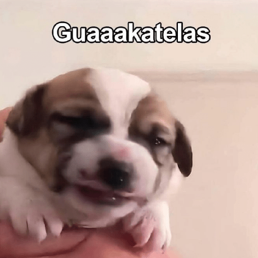 Jajaja  2
