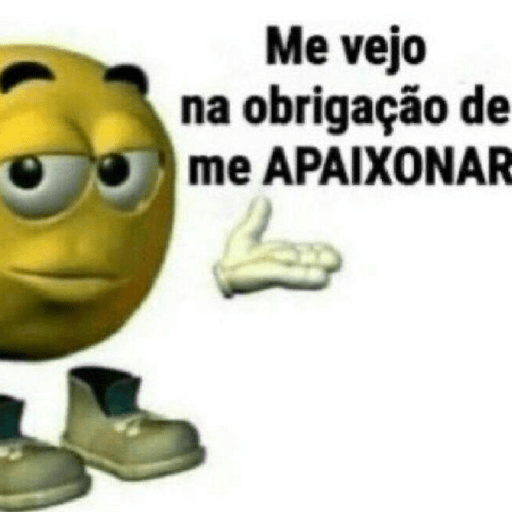 Vários memes  16