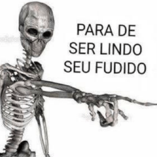 Vários memes  14