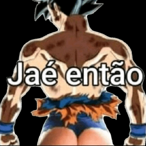 Vários memes  11