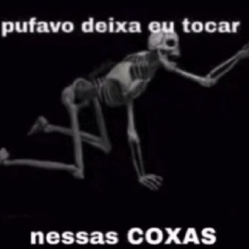 Vários memes  27
