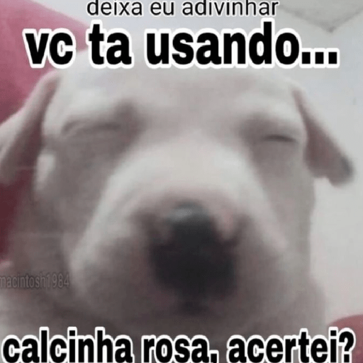 Vários memes  30