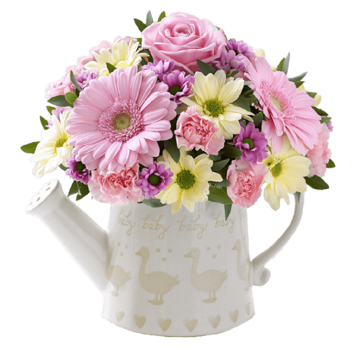 Flores