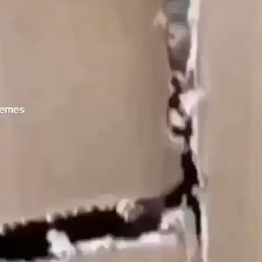 Nsshsysv 3