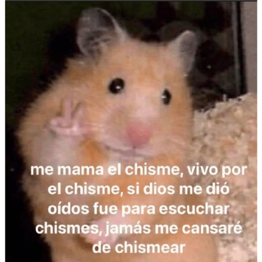 Momazos 21