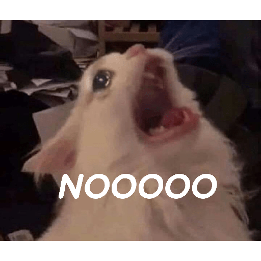 Gatito tristes con palabras 2