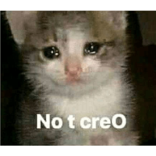 Gatito tristes con palabras 3