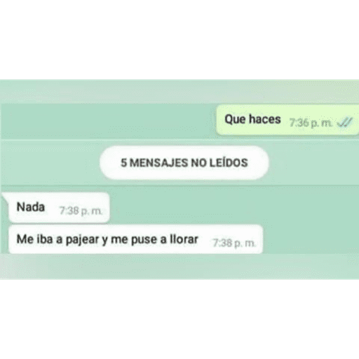 Textos 15