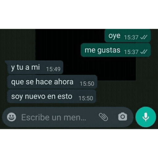 Textos 16