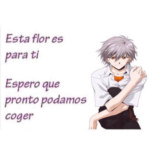 Textos 11
