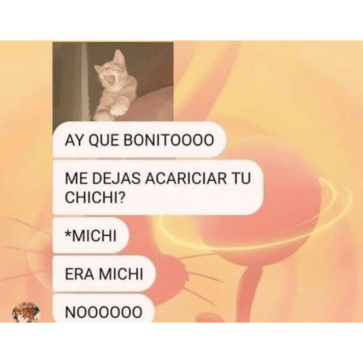 Textos 13