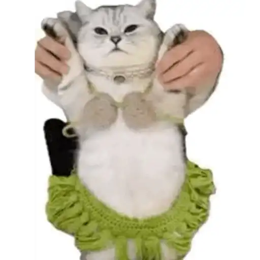 MEME KUCING CIPJOT 3 8