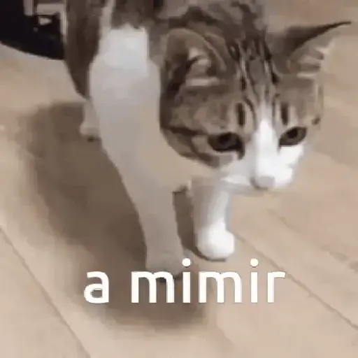 Memes xD 5