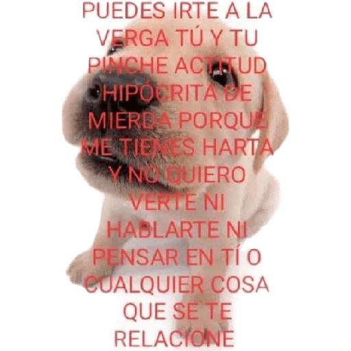 Xde