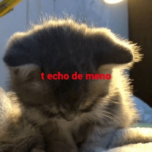 Xde