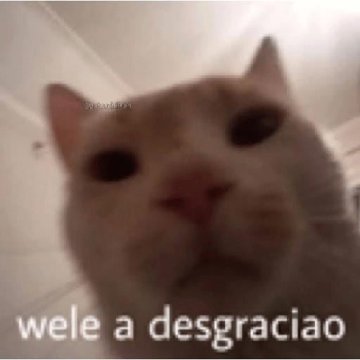 Xde