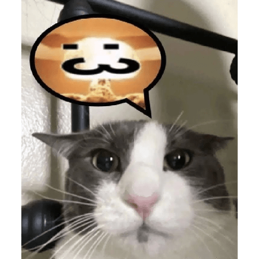 Xde