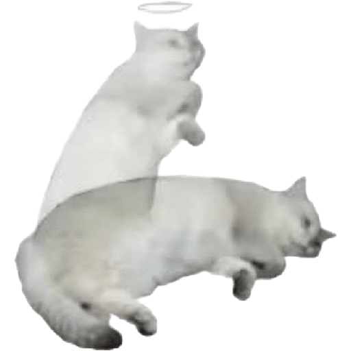Xde