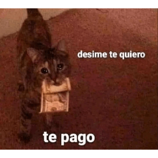 Xde
