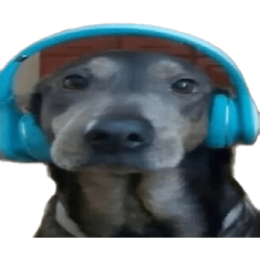 Xde
