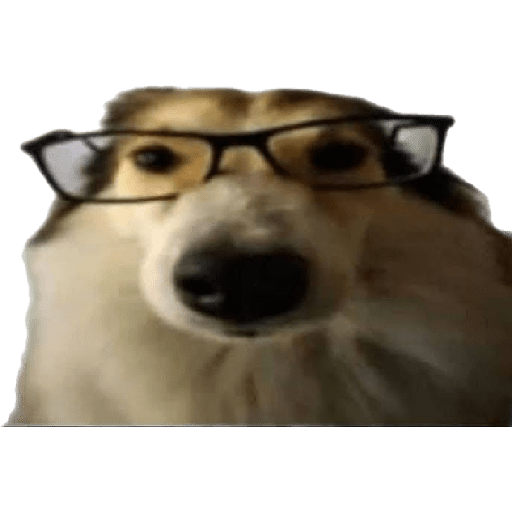 Xde