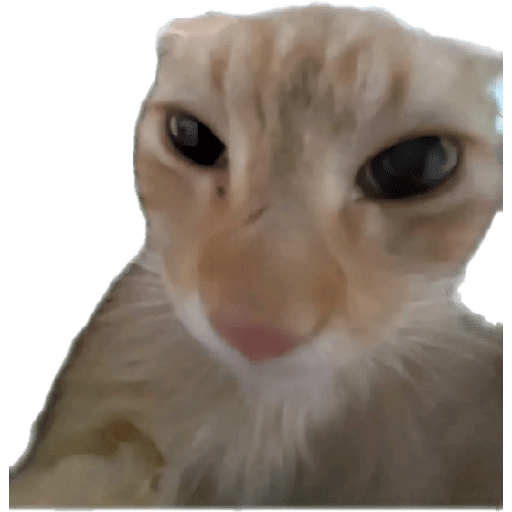 Xde