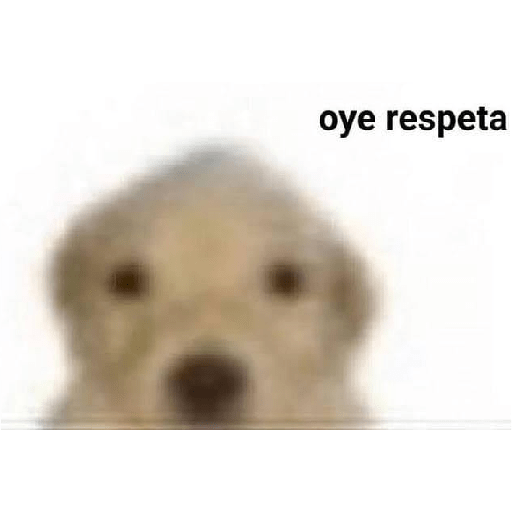 Xde
