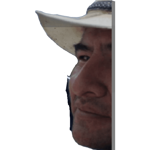 Pezca 8