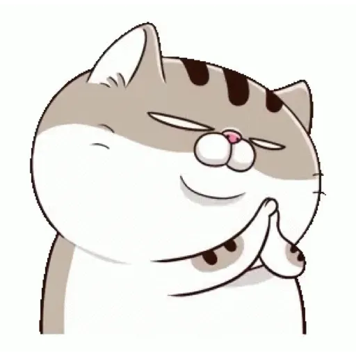 Fat cat 14