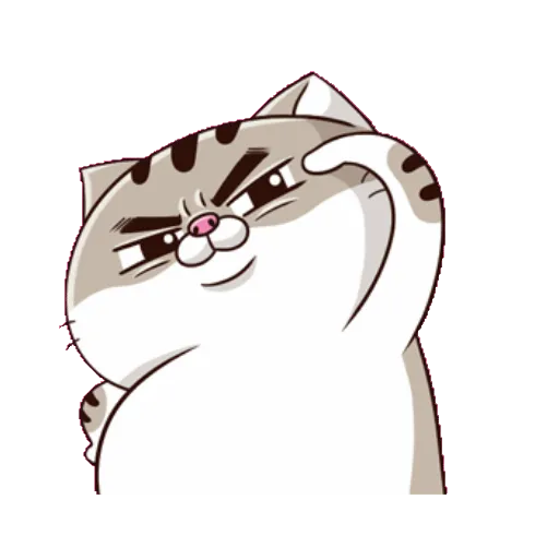 Fat cat 9