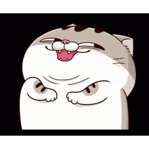 Fat cat 26